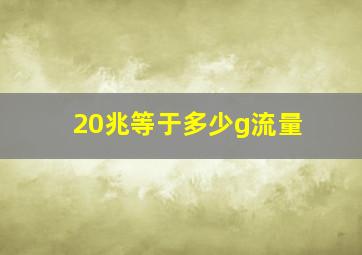 20兆等于多少g流量