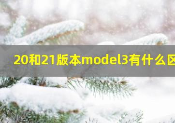 20和21版本model3有什么区别