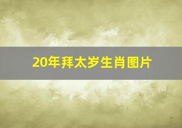 20年拜太岁生肖图片