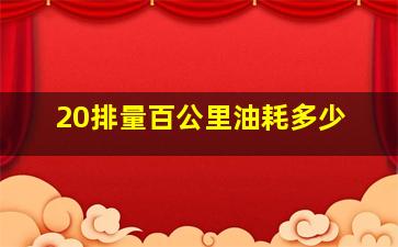 20排量百公里油耗多少