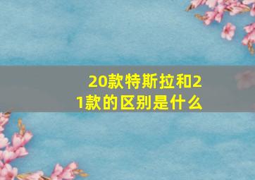 20款特斯拉和21款的区别是什么