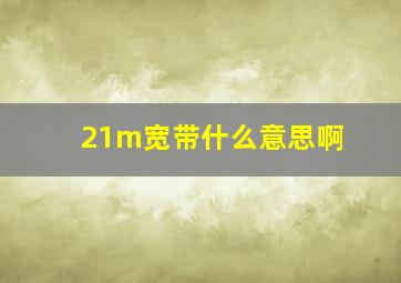 21m宽带什么意思啊