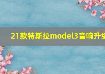 21款特斯拉model3音响升级