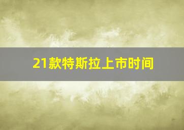 21款特斯拉上市时间