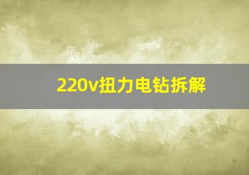 220v扭力电钻拆解