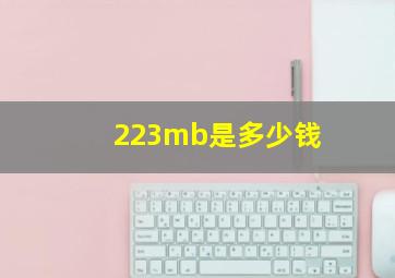 223mb是多少钱