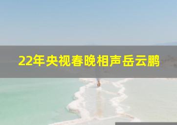 22年央视春晚相声岳云鹏