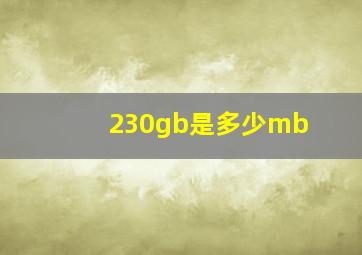 230gb是多少mb