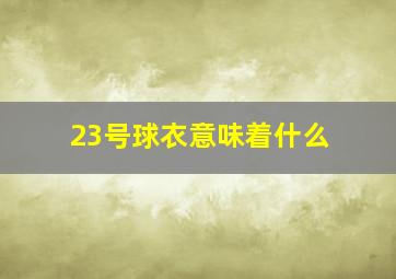 23号球衣意味着什么