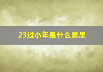 23过小年是什么意思