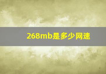 268mb是多少网速