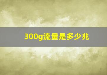 300g流量是多少兆