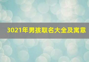 3021年男孩取名大全及寓意