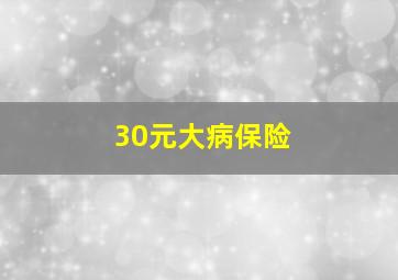 30元大病保险