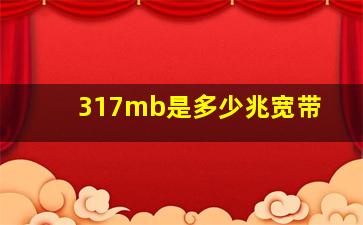 317mb是多少兆宽带