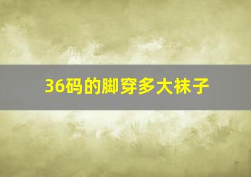 36码的脚穿多大袜子