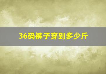 36码裤子穿到多少斤