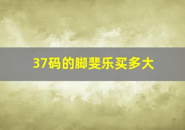 37码的脚斐乐买多大