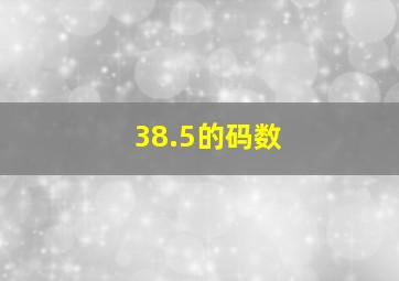 38.5的码数