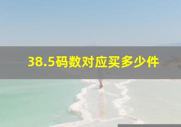 38.5码数对应买多少件