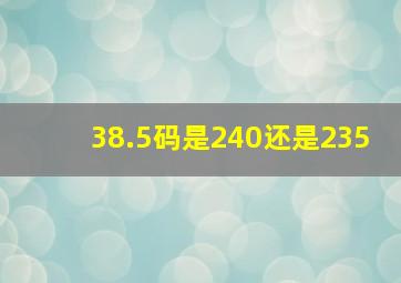 38.5码是240还是235