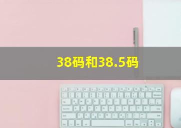 38码和38.5码