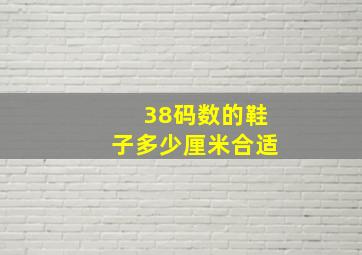 38码数的鞋子多少厘米合适