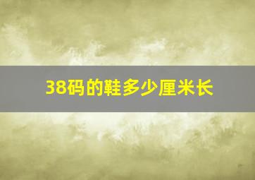 38码的鞋多少厘米长