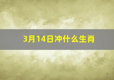 3月14日冲什么生肖