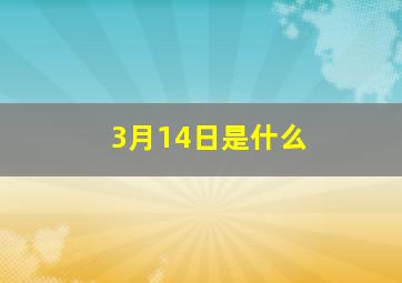 3月14日是什么