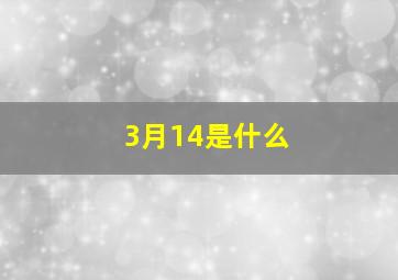 3月14是什么