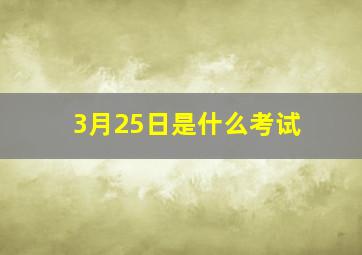 3月25日是什么考试