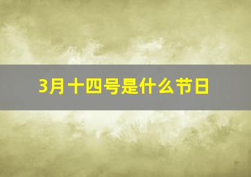 3月十四号是什么节日