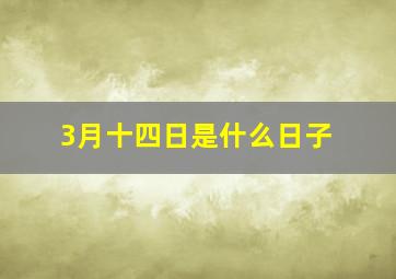 3月十四日是什么日子