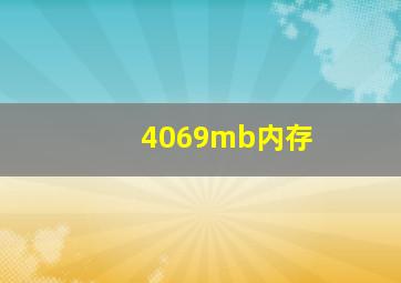 4069mb内存