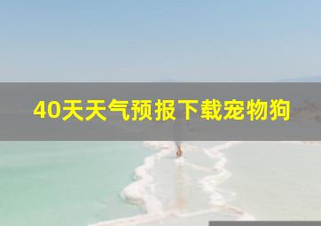 40天天气预报下载宠物狗