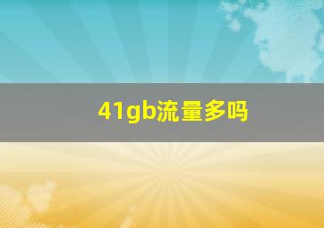 41gb流量多吗