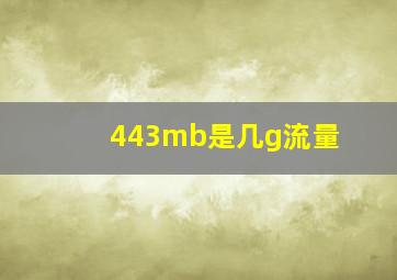 443mb是几g流量