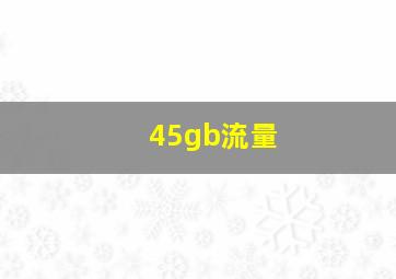 45gb流量