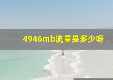 4946mb流量是多少呀