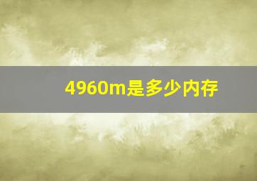 4960m是多少内存