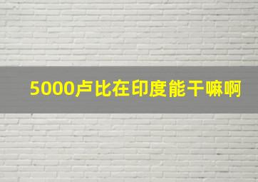 5000卢比在印度能干嘛啊