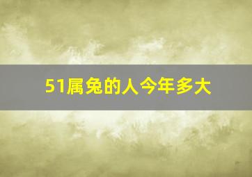 51属兔的人今年多大