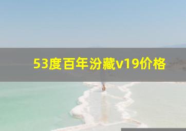 53度百年汾藏v19价格