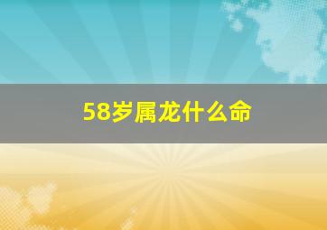 58岁属龙什么命