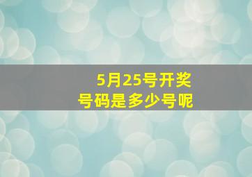 5月25号开奖号码是多少号呢