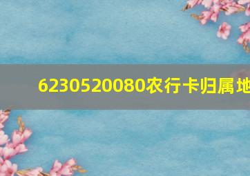 6230520080农行卡归属地