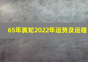 65年属蛇2022年运势及运程