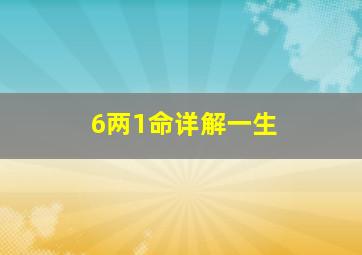 6两1命详解一生