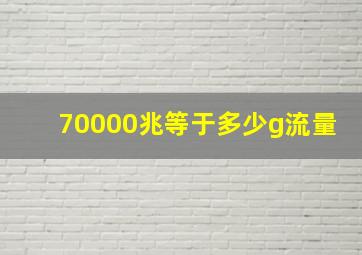 70000兆等于多少g流量